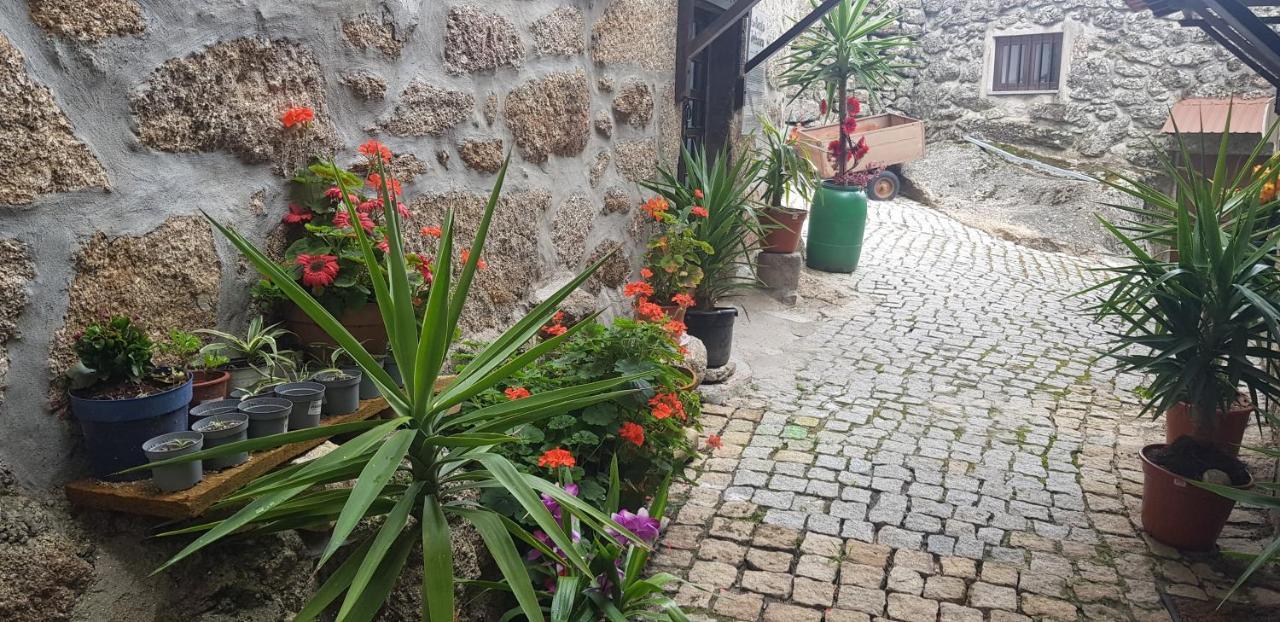 Branca Goncalves Belmonte Villa Belmonte  Ngoại thất bức ảnh