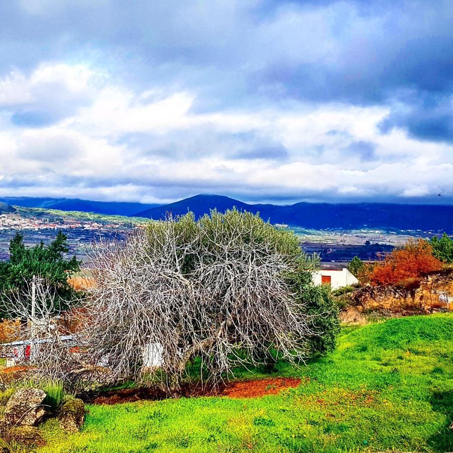 Branca Goncalves Belmonte Villa Belmonte  Ngoại thất bức ảnh